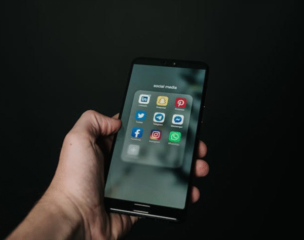 How Algorithms Shape Online Content